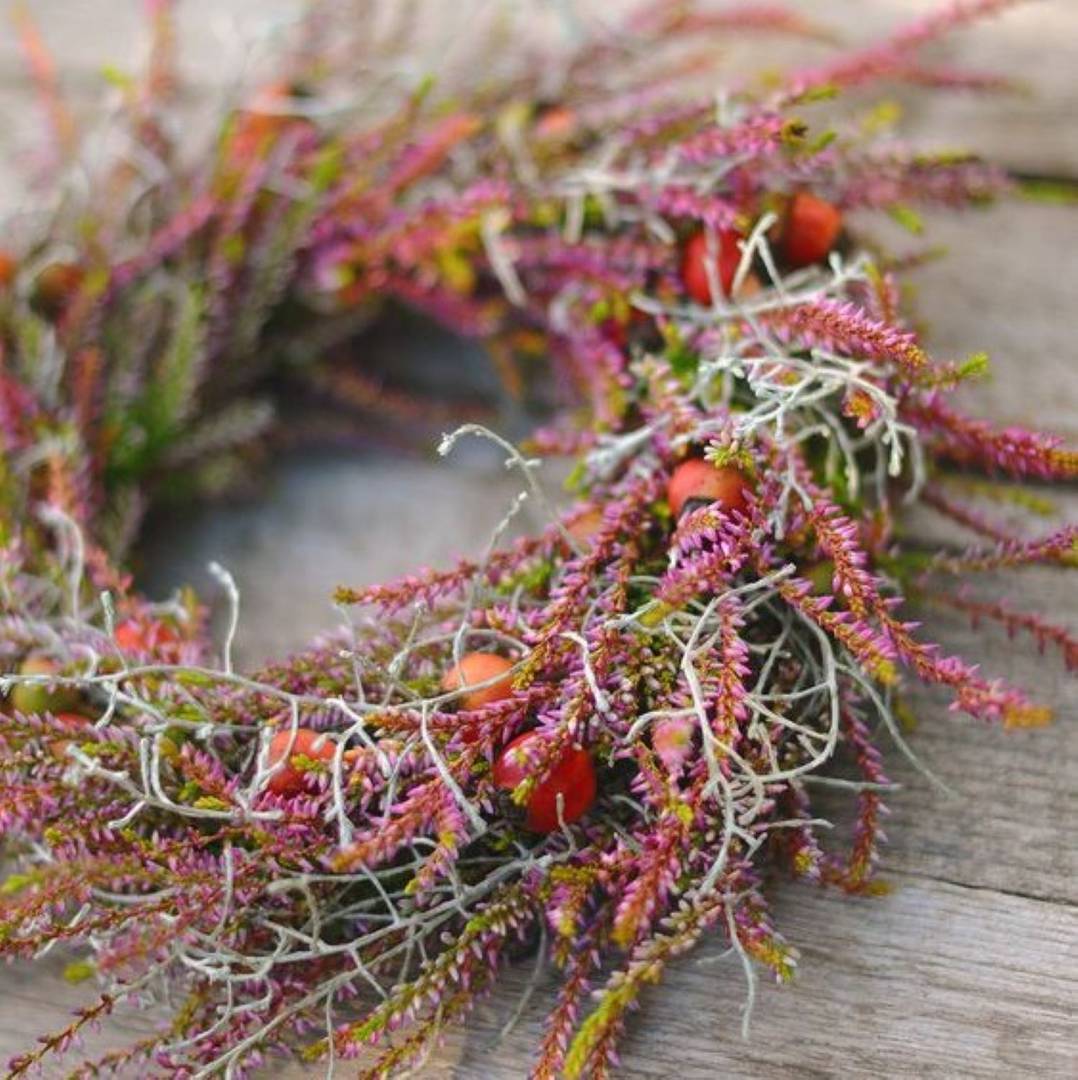 WINTER GARDEN Yarn + Pattern only Lanivendole